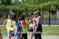 amarantos_4dhmotiko004