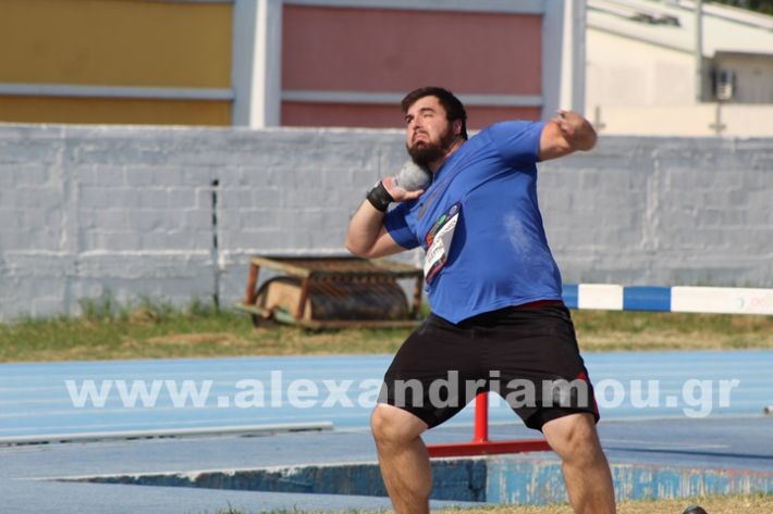 www.alexandriamou.gr_5o_alexandrino_meeting7.6IMG_1627