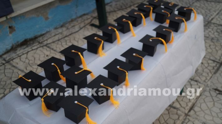 www.alexandriamou.gr_7odimgiorti2025DSC02105
