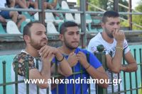 alexandriamou_a.e_alexandriaDSC_0453