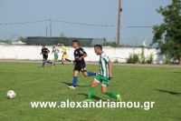 alexandriamou_a.e_alexandriaDSC_0483