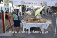 alexandriamou_amfitheatro18.090002