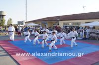 alexandriamou_amfitheatro18.090004