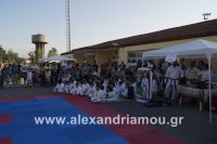alexandriamou_amfitheatro18.090009