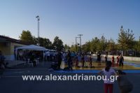 alexandriamou_amfitheatro18.090038