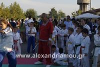 alexandriamou_amfitheatro18.090045