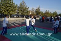 alexandriamou_amfitheatro18.090049