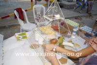 alexandriamou_amfitheatro18.090067