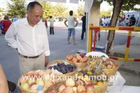 alexandriamou_amfitheatro18.090068