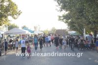 alexandriamou_amfitheatro18.090070