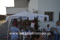 alexandriamou_amfitheatro18.090083