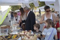 alexandriamou_amfitheatro18.090110