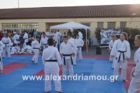 alexandriamou_amfitheatro18.090128