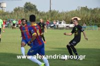 alexandriamou_araxos_kupeloDSC_0406