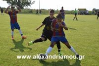 alexandriamou_araxos_kupeloDSC_0424