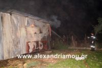 alexandriamou_FOTIA_STANI0013