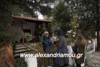 alexandriamou_MOMOGEROI_ALEXANDREIA31.120098