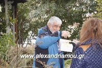 alexandriamou_MOMOGEROI_ALEXANDREIA31.120100