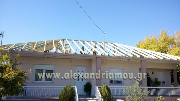 papageorgiou_skepes012