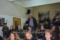 alexandriamou_EBZ_SYRIZA041