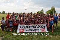 alexandriamou_thlemaxoi20160129