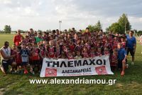 alexandriamou_thlemaxoi20160130