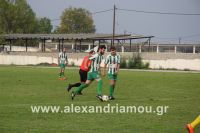 alexandriamou_a.e_xariesa0139