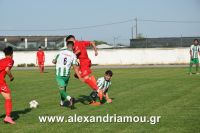 alexandriamou_a.e_170035