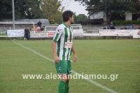 alexandriamou_a.e_episkopi0114