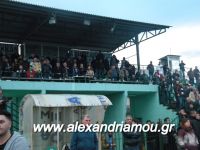 alexandriamou_a_e12_0125