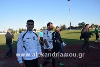 alexandriamou_a.e_paok080125