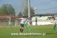 alexandriamou_a.e_paok0052