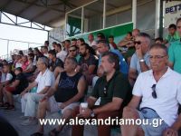 alexandriamou_a.e_paok0101