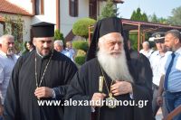 alexandriamou_agia_kurgiakh20160025