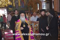 alexandriamou_agia_kurgiakh20160028