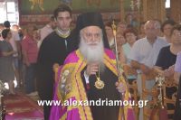 alexandriamou_agia_kurgiakh20160029