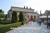 alexandriamou_agia_kurgiakh20160052