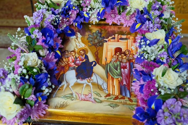 55187479282_af22866cde_c