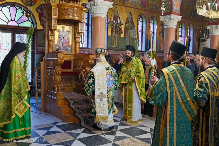 55187479752_e30bf12114_c