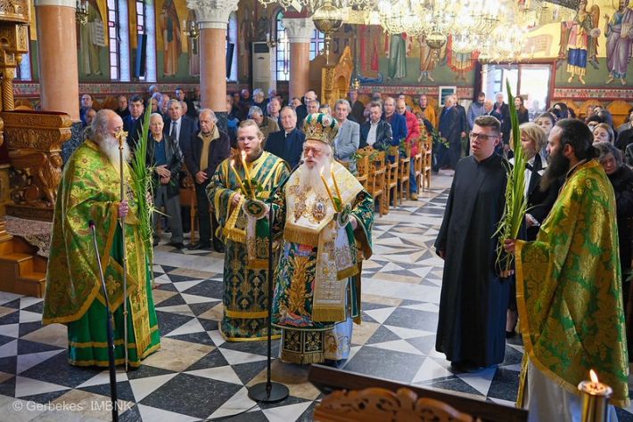 55187480402_214786f3e1_c