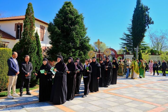 55187629622_87815a90b4_c