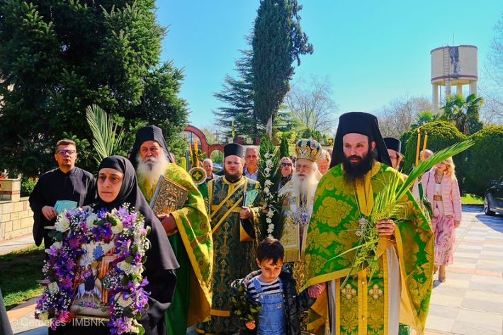 55187629652_63036af0e7_c