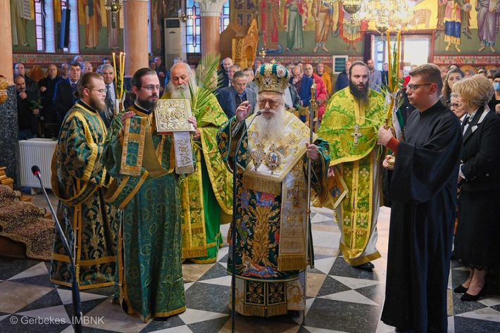 55188372871_e5cc5bb6ca_c