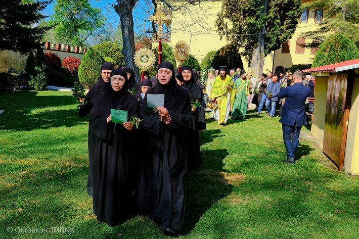 55188766774_77ded68982_c