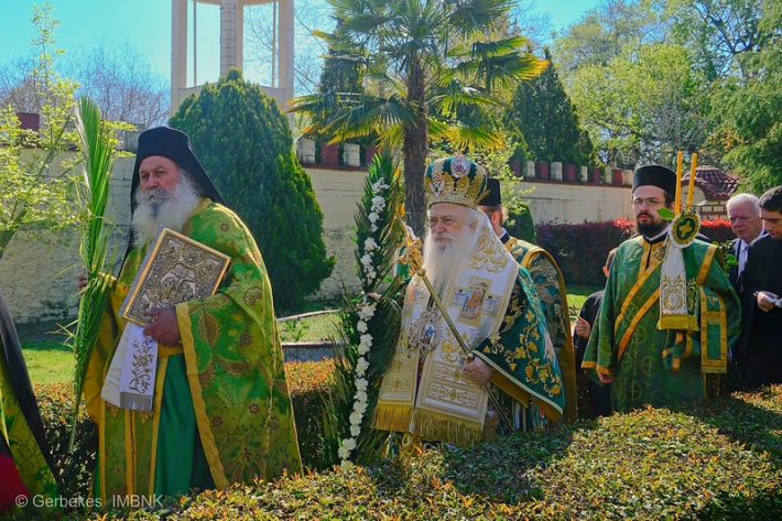 55188767354_df7d32fc73_c