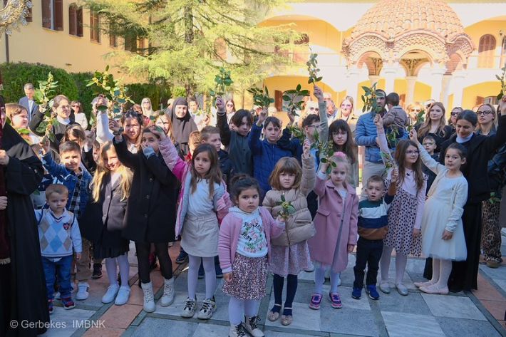 55188767724_190d08e191_c