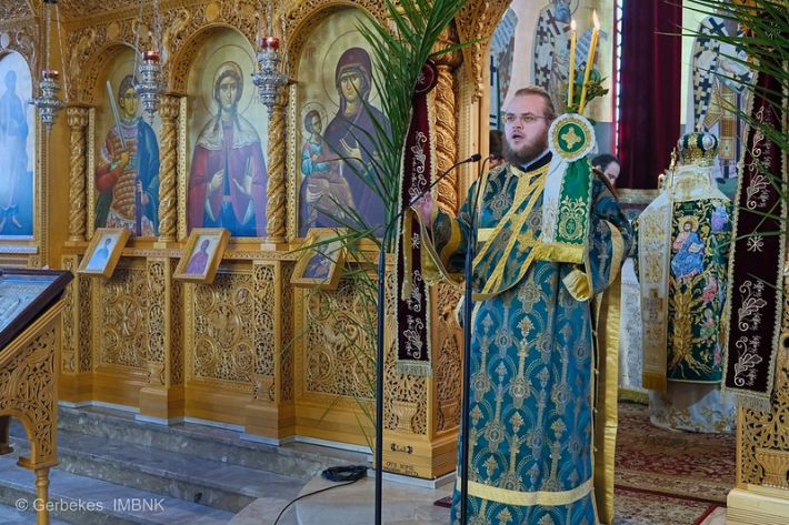 55188799250_3233e7535a_c