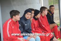 alexandriamou_agkathia040062