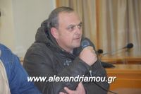 alexandriamou_sulogos_agroton0014