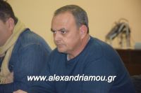 alexandriamou_sulogos_agroton0030